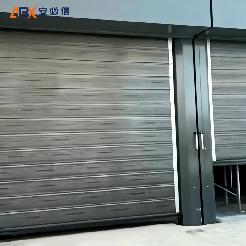 张家界金属高速门